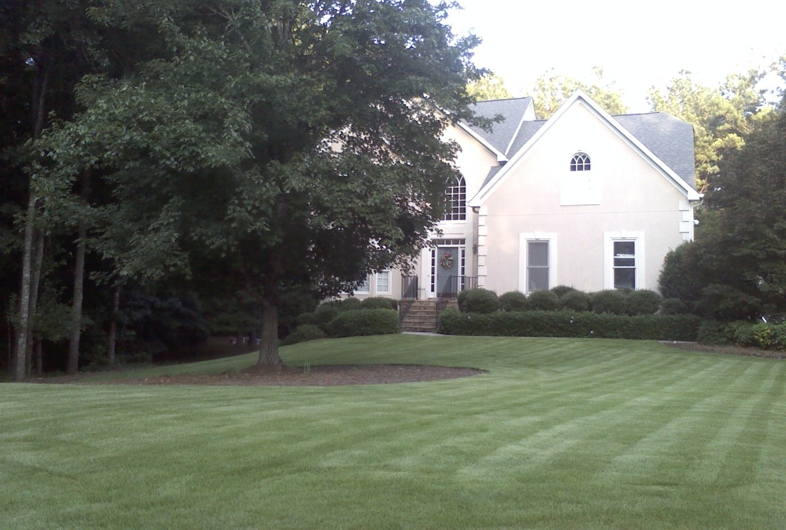 Lawn and Tree & Shrub Care